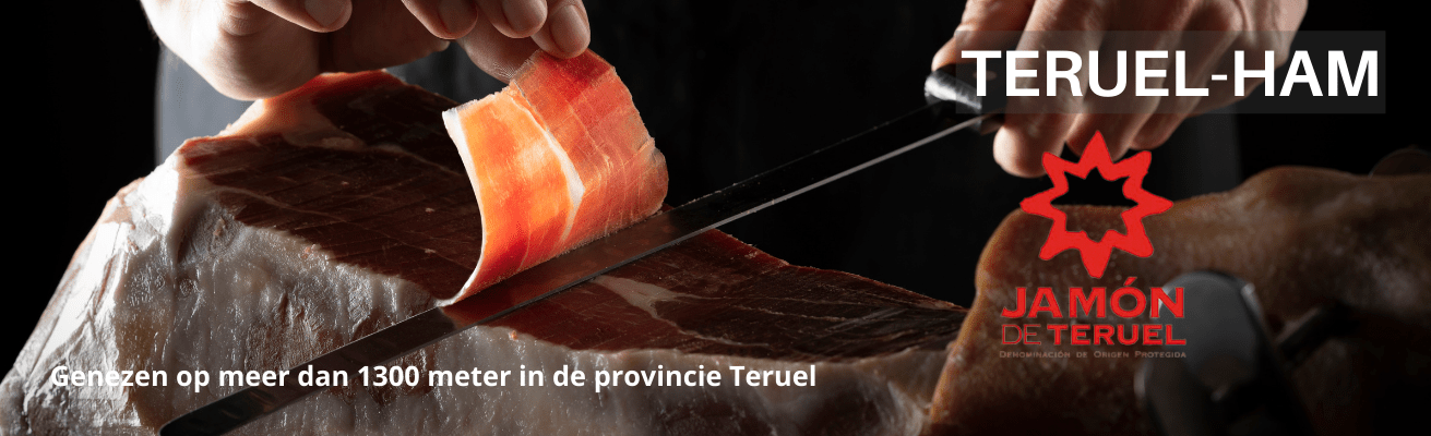 TERUEL HAM